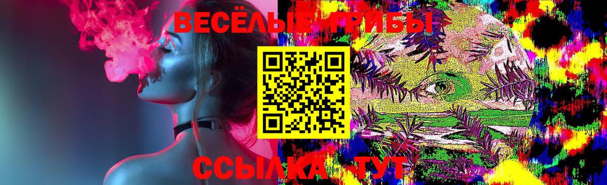 Галлюциногенные грибы мухоморы Краснознаменск