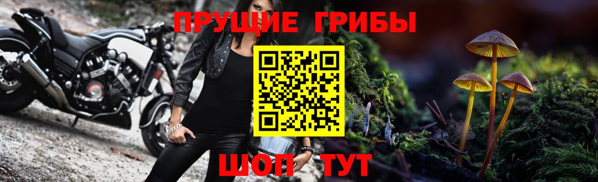 купить  цена  Псилоцибиновые грибы мухоморы  Вход с VPN  Краснознаменск  Псилоцибиновые грибы GOLDEN TEACHER 